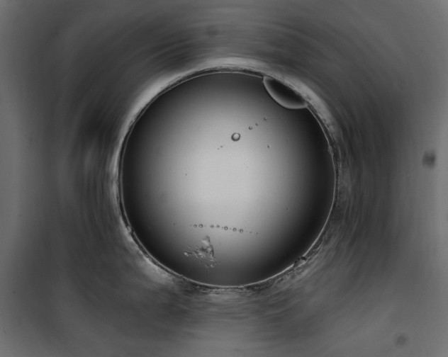 X0000100871199200806201233