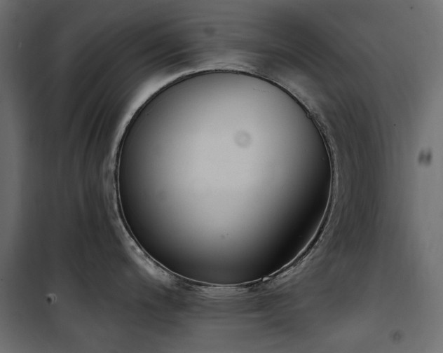 X0000100871200200806201233