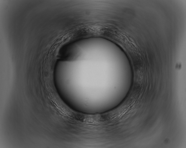 X0000100871201200806201232
