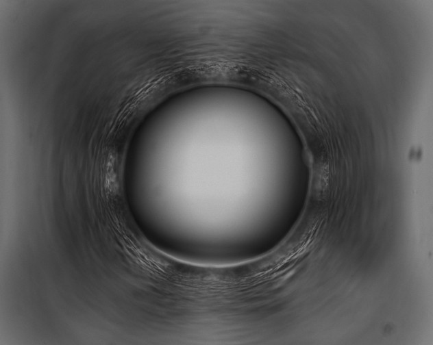 X0000100871202200806201232