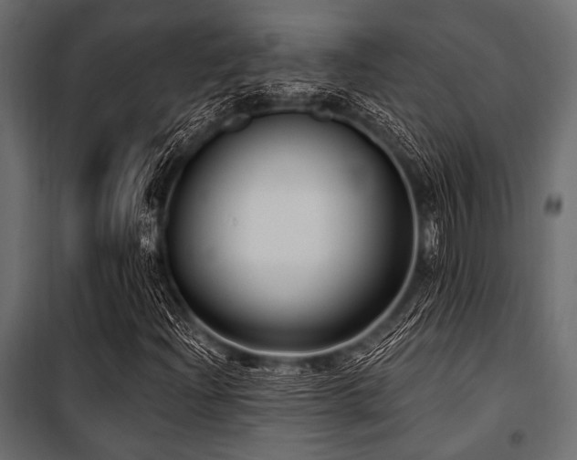 X0000100871204200806201232