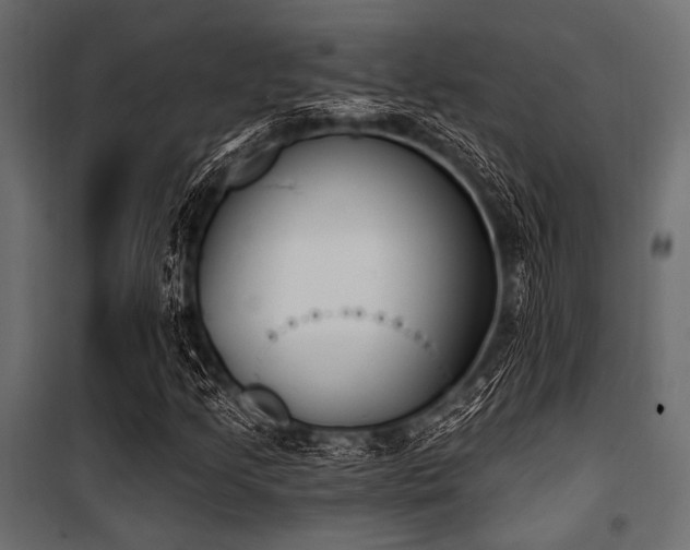 X0000100871205200806201232