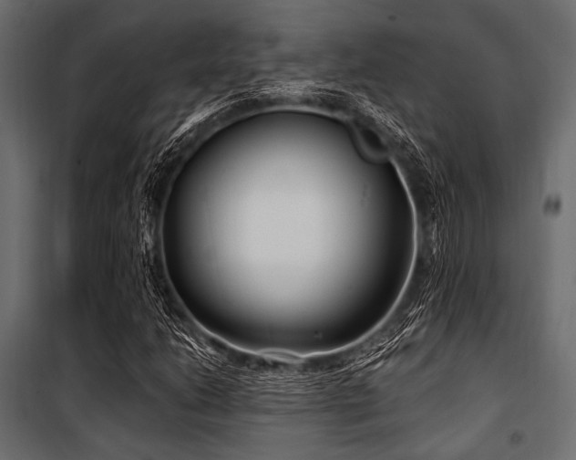 X0000100871206200806201232