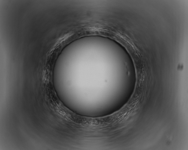 X0000100871207200806201232