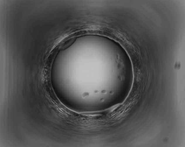 X0000100871208200806201232