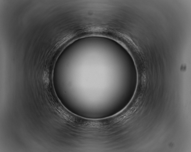X0000100871209200806201232