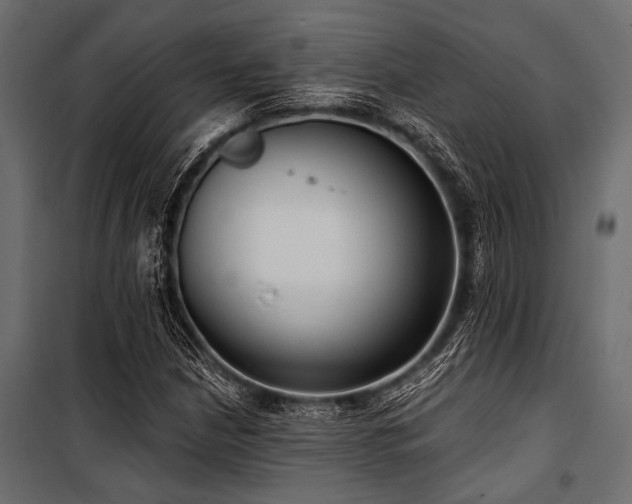 X0000100871210200806201232