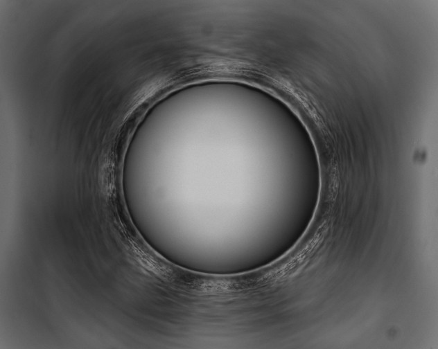 X0000100871211200806201232