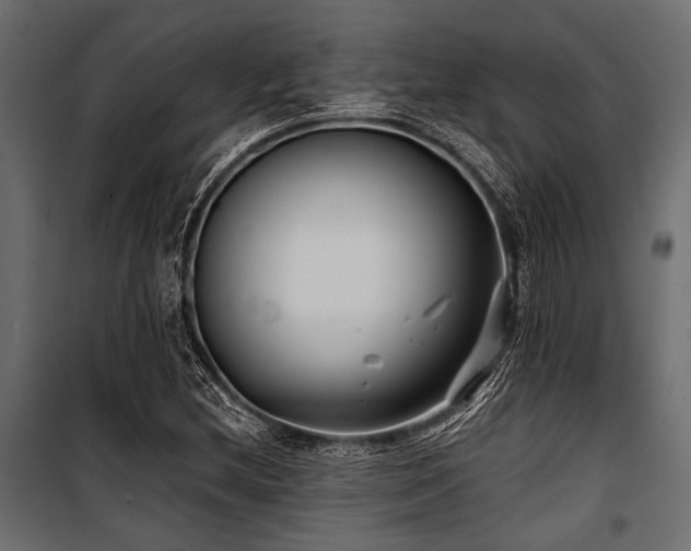 X0000100871212200806201232