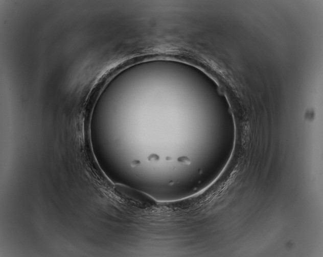 X0000100871214200806201232