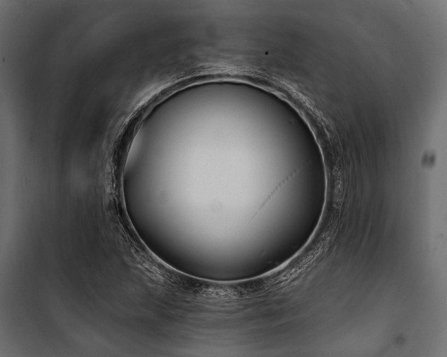 X0000100871215200806201232