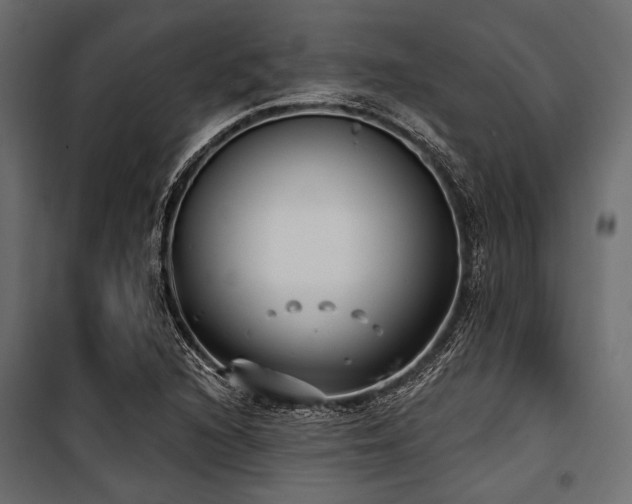 X0000100871216200806201232