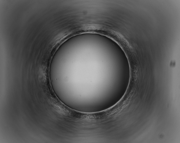 X0000100871217200806201232