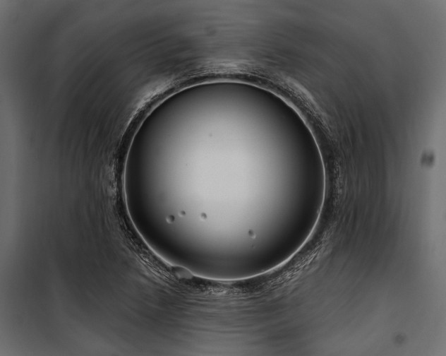 X0000100871218200806201232