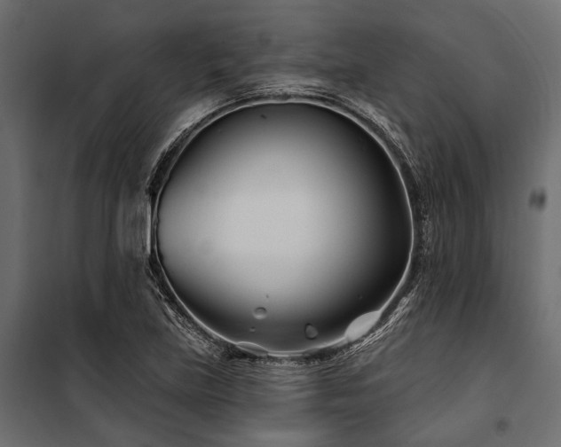 X0000100871219200806201232