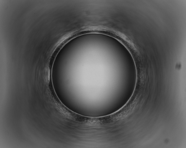 X0000100871221200806201232