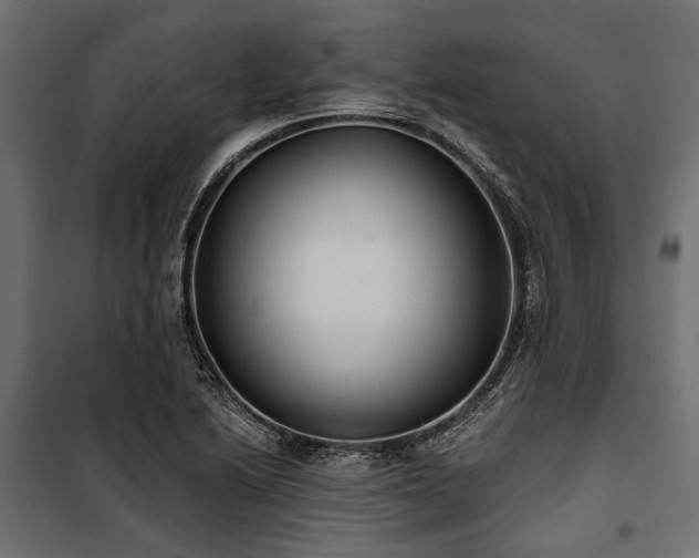 X0000100871222200806201232