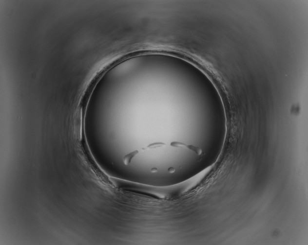 X0000100871223200806201232