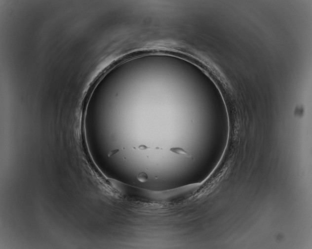 X0000100871224200806201232