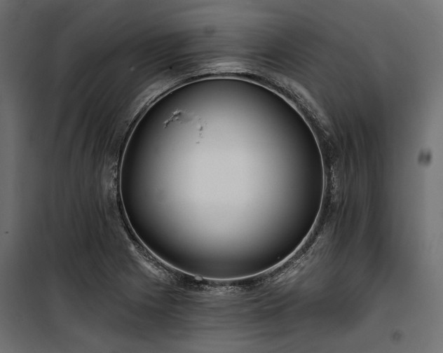 X0000100871225200806201232