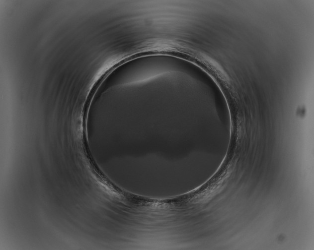X0000100871226200806201232