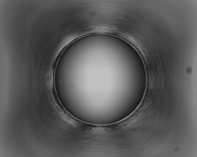 X0000100871227200806201232