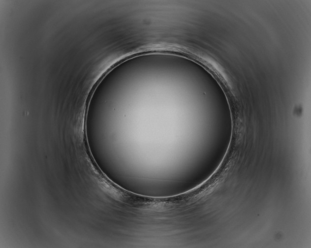 X0000100871228200806201232