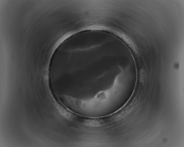 X0000100871229200806201232