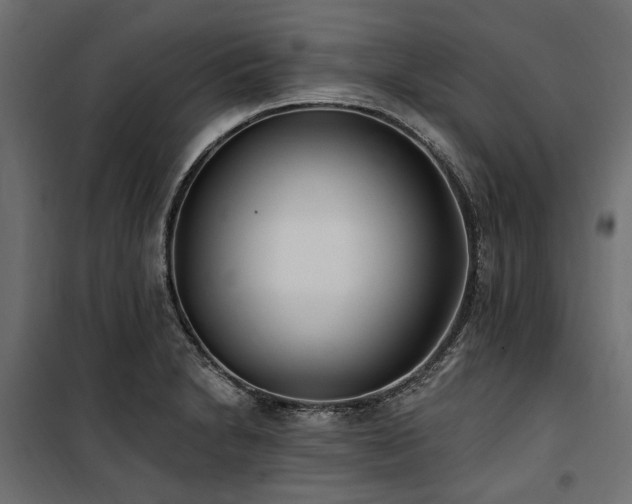 X0000100871230200806201232