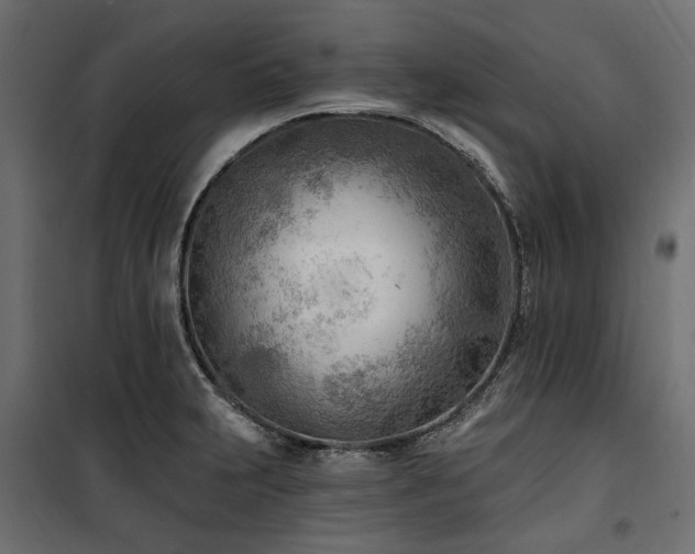 X0000100871231200806201232