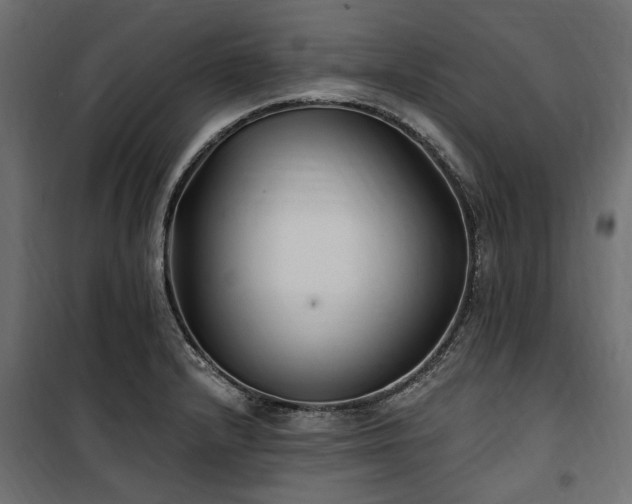 X0000100871232200806201232