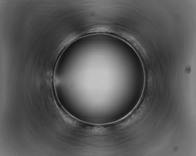 X0000100871233200806201232