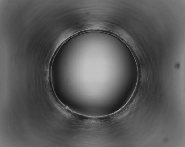 X0000100871234200806201233