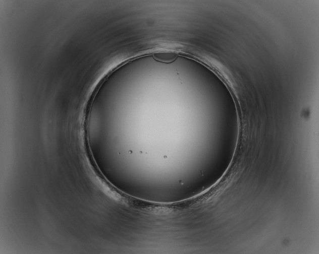 X0000100871235200806201233