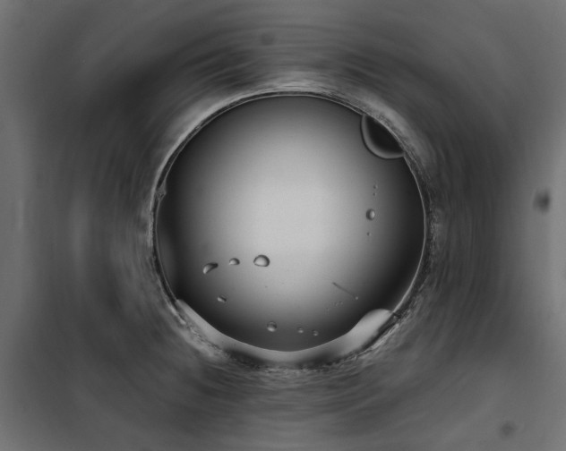 X0000100871236200806201233