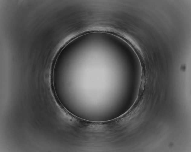 X0000100871237200806201233