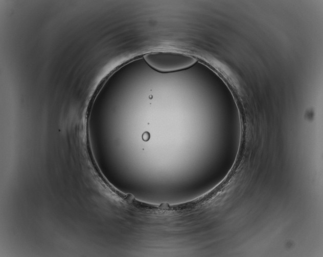 X0000100871238200806201233