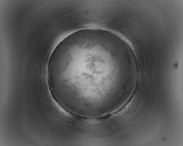 X0000100871239200806201233