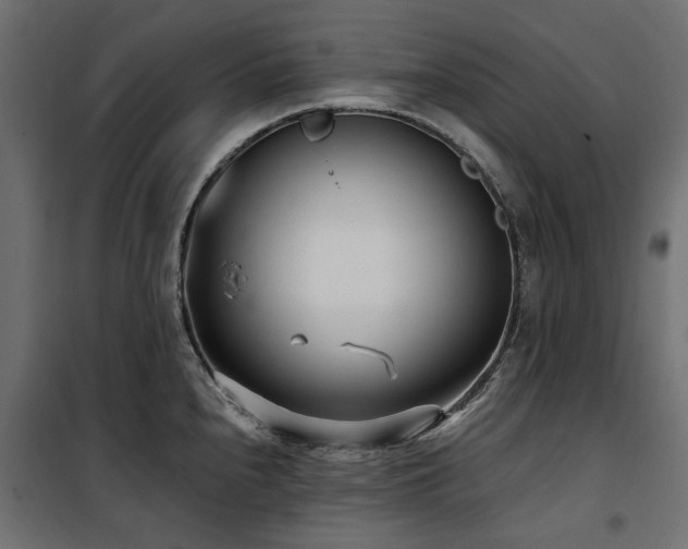X0000100871240200806201233
