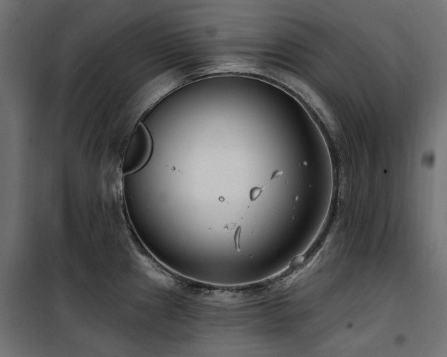 X0000100871241200806201233