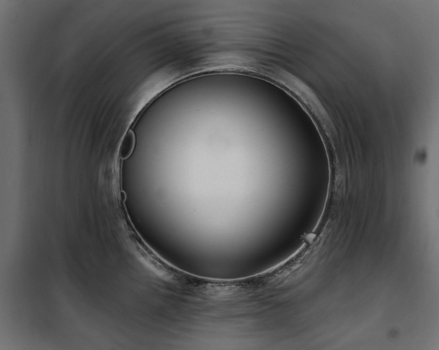 X0000100871242200806201233