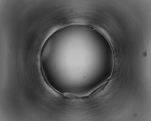 X0000100871243200806201233