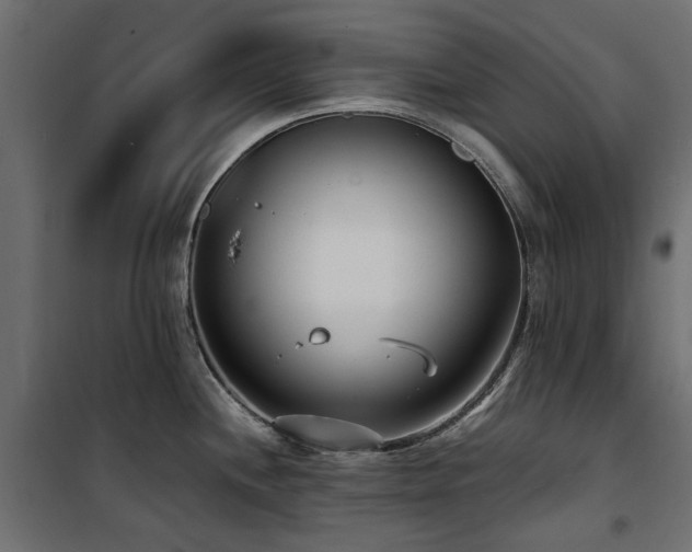 X0000100871244200806201233