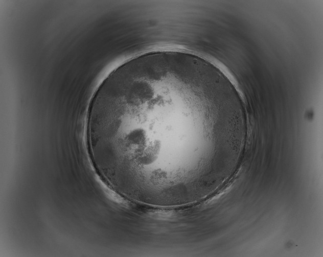 X0000100871245200806201233