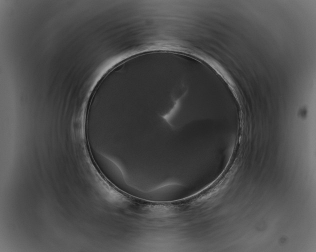 X0000100871246200806201233