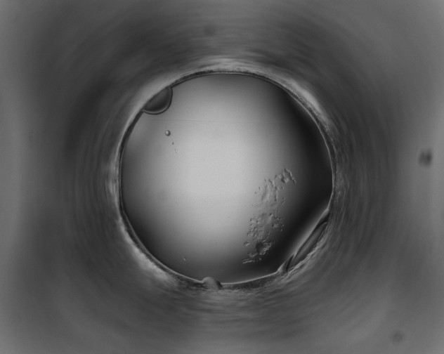 X0000100871247200806201233
