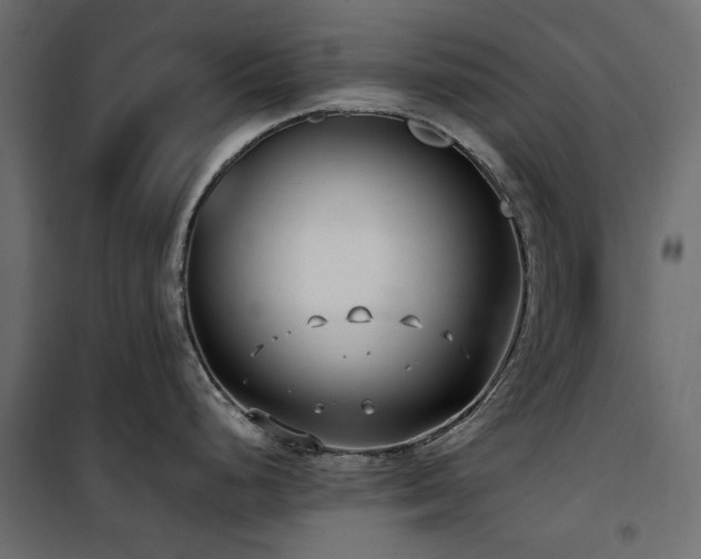 X0000100871248200806201233