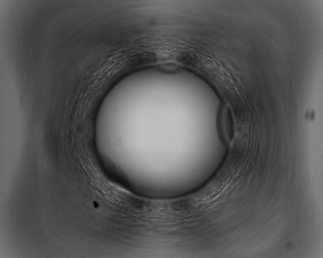 X0000100871249200806201232