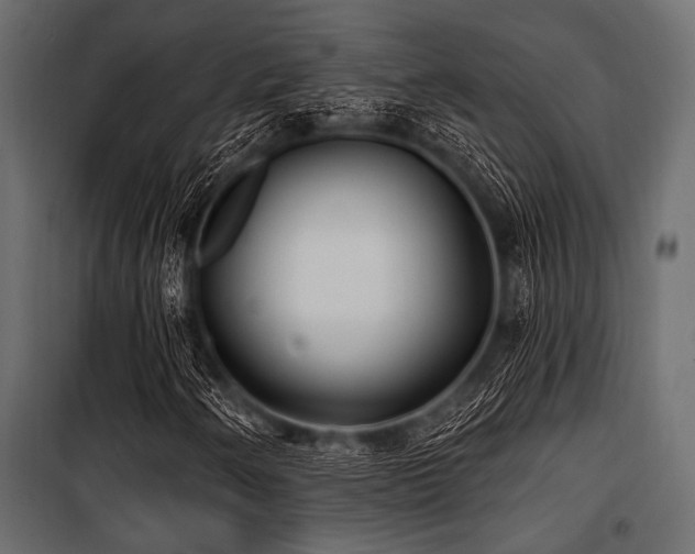X0000100871250200806201232