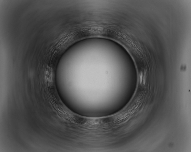 X0000100871251200806201232